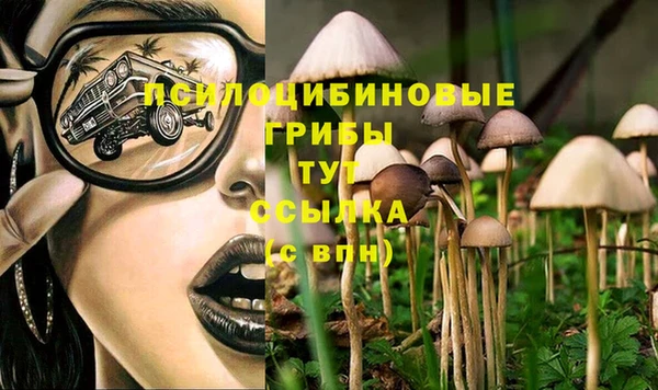 крисы Карпинск